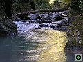 thn_NZ leden-unor 2006 237.jpg